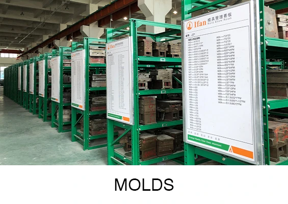 MOLDS MOLDS